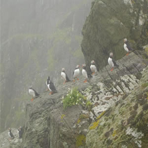 Skellig Island