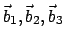 \( \vec
b_1,\vec b_2,\vec b_3 \)